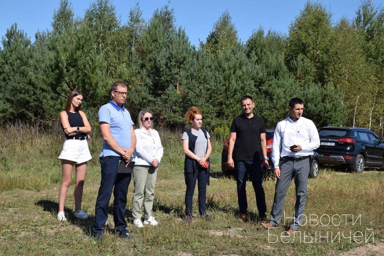 Лес по реке крынка сейчас