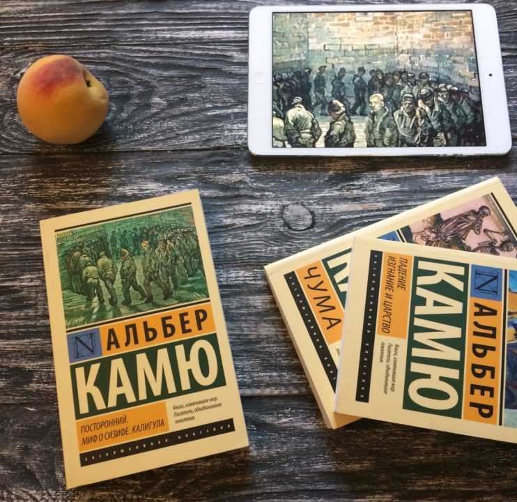 Философский смысл повести посторонний а. камю - book-science