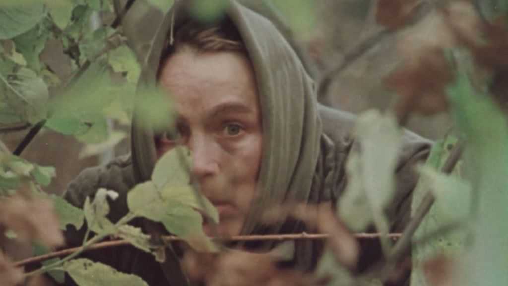 «знак беды» за 8 минут. краткое содержание повести быкова