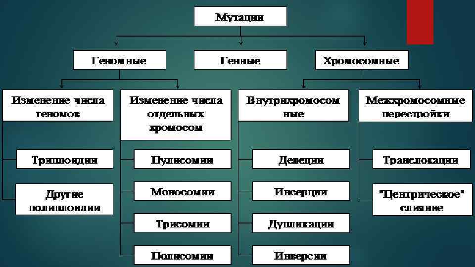 Доказательства эволюции