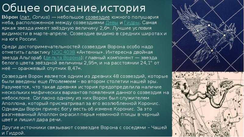 Ворон и чаша — два тусклых весенних созвездия - любительская астрономия для начинающих