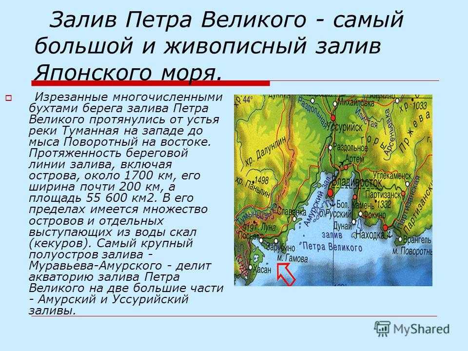 Охарактеризуйте изрезанность береговой линии материка северной америки. Залив Петра Великого. Залив Петра Великого Владивосток.