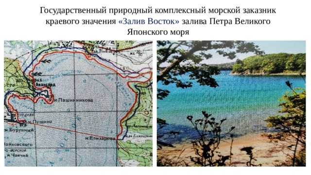 Восток (залив)