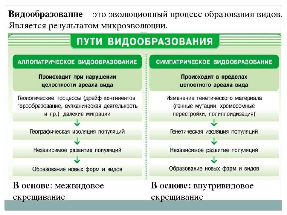 Конспект "вид, критерии видов. популяция" - учительpro