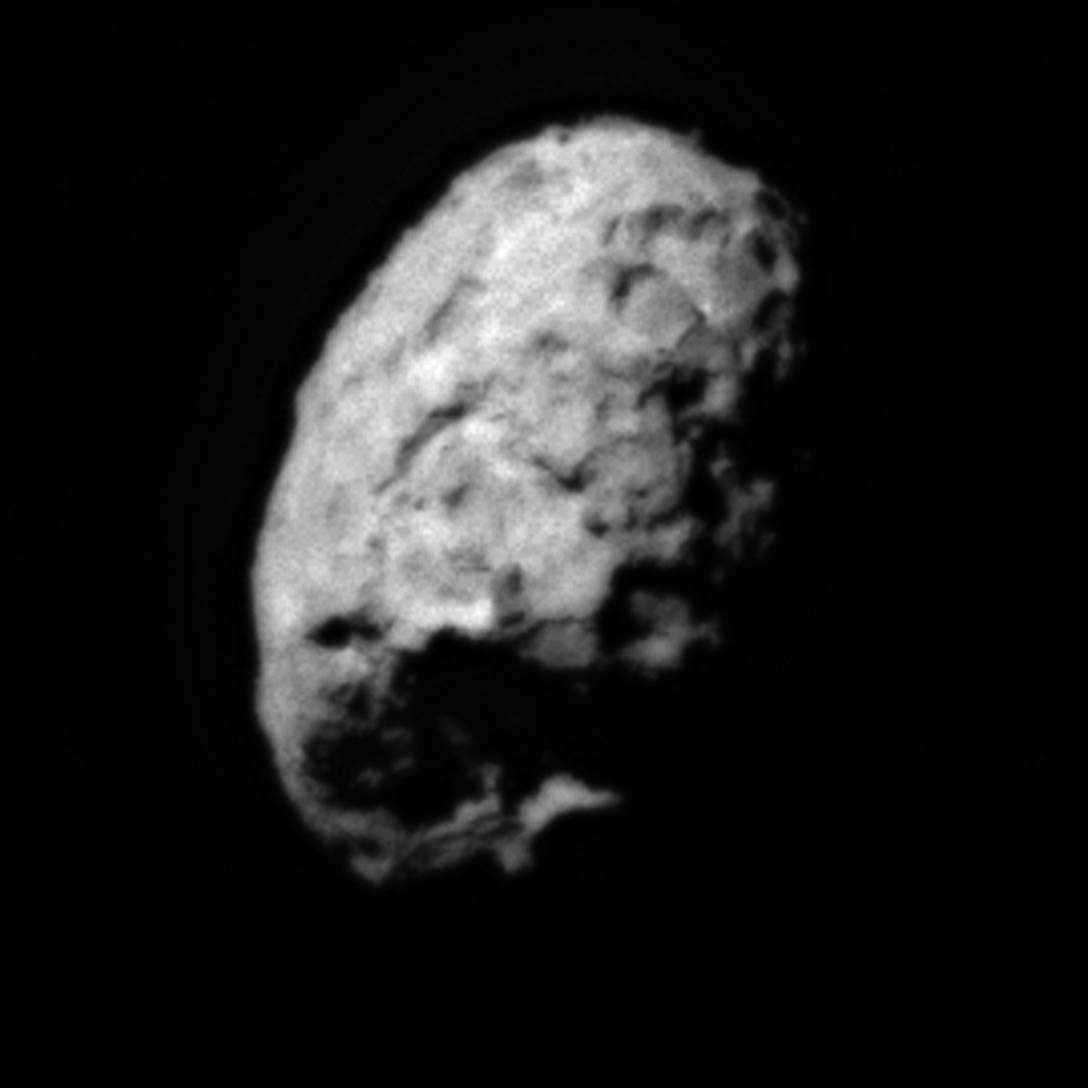 81p / wild - 81p/wild - dev.abcdef.wiki
