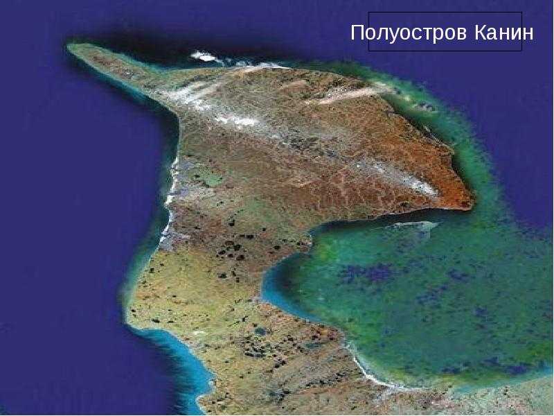 Интересные сведения о полуострове канин