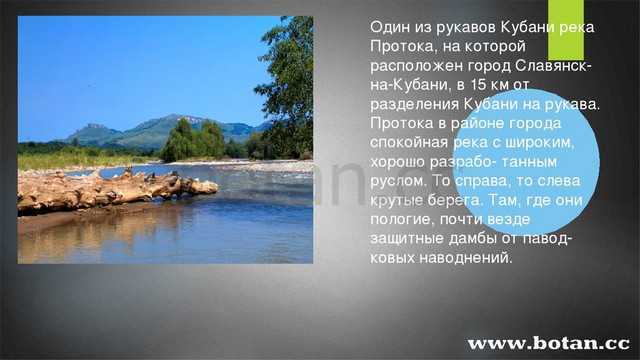 Реки кубани список. Река Кубань 3 класс кубановедение. Реки Краснодарского края сообщение. Река Кубань описание. Рассказ о реке Кубань.