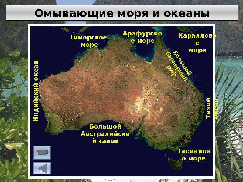 Фото арафурского моря (29 фото)
