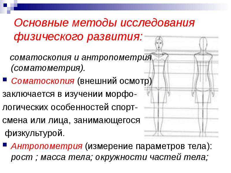 Липатов п., липатова л. 				 |
						основы антропологии с элементами генетики человека | газета «биология» № 40/2003