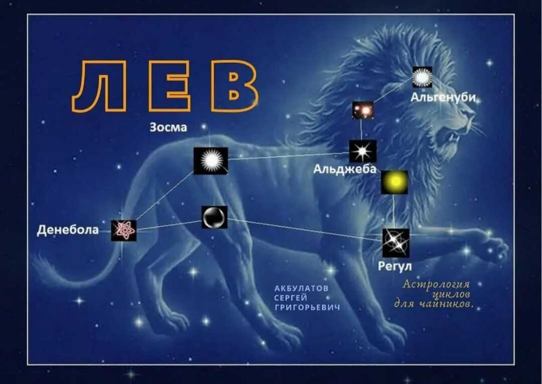 Многим может показаться, что это скорее мышь, чем грозный хищник, но созвездие Лев для детей точно будет казаться самым грозным на всём небосводе
