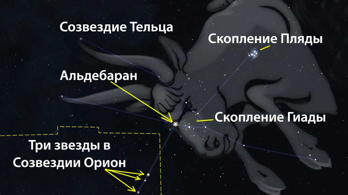 Телец находится в созвездии