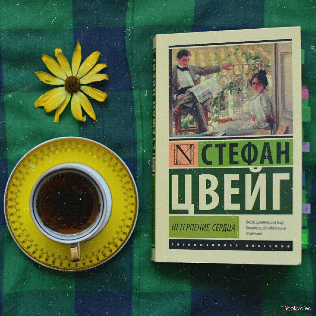 «нетерпение сердца» стефан цвейг: рецензии на книгу
