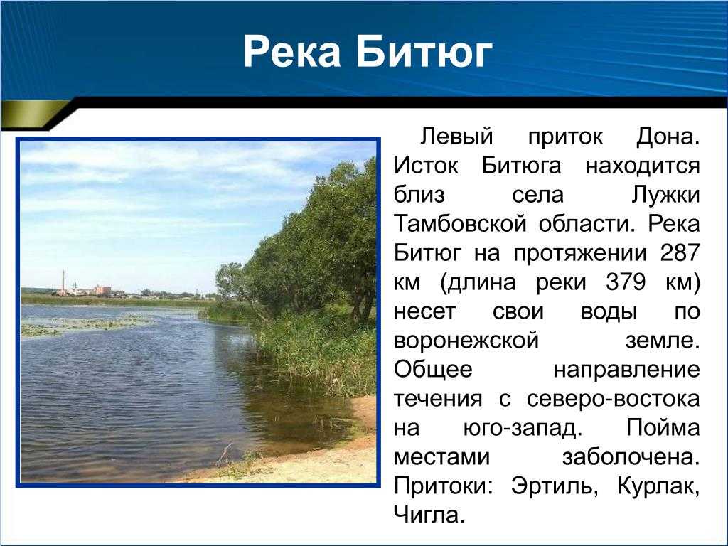 Река великая на карте от истока до устья куда впадает