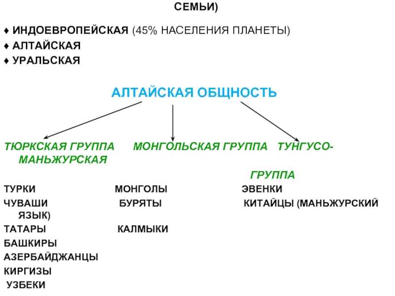 Тюркский язык происхождение. Тюркской ветви Алтайской семьи. Тюркская языковая группа. Алтайская языковая семья тюркская группа. Алтайская семья языков Древо.