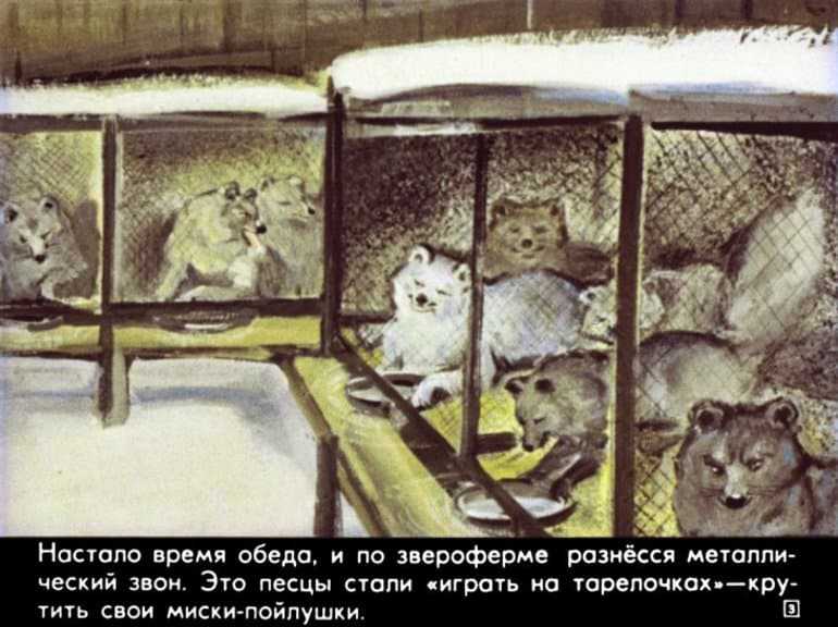 Краткое содержание коваль недопёсок для читательского дневника, читать краткий пересказ онлайн