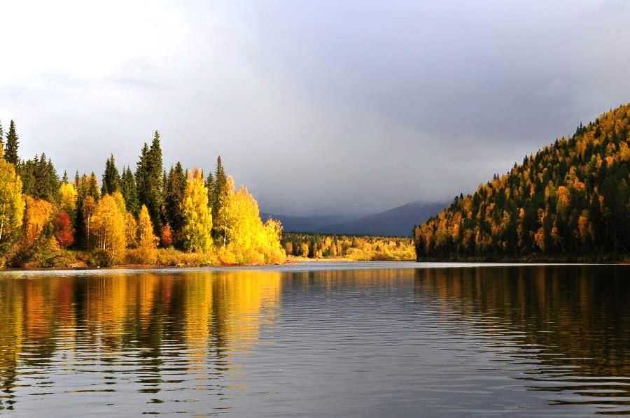 Вишера Пермский край