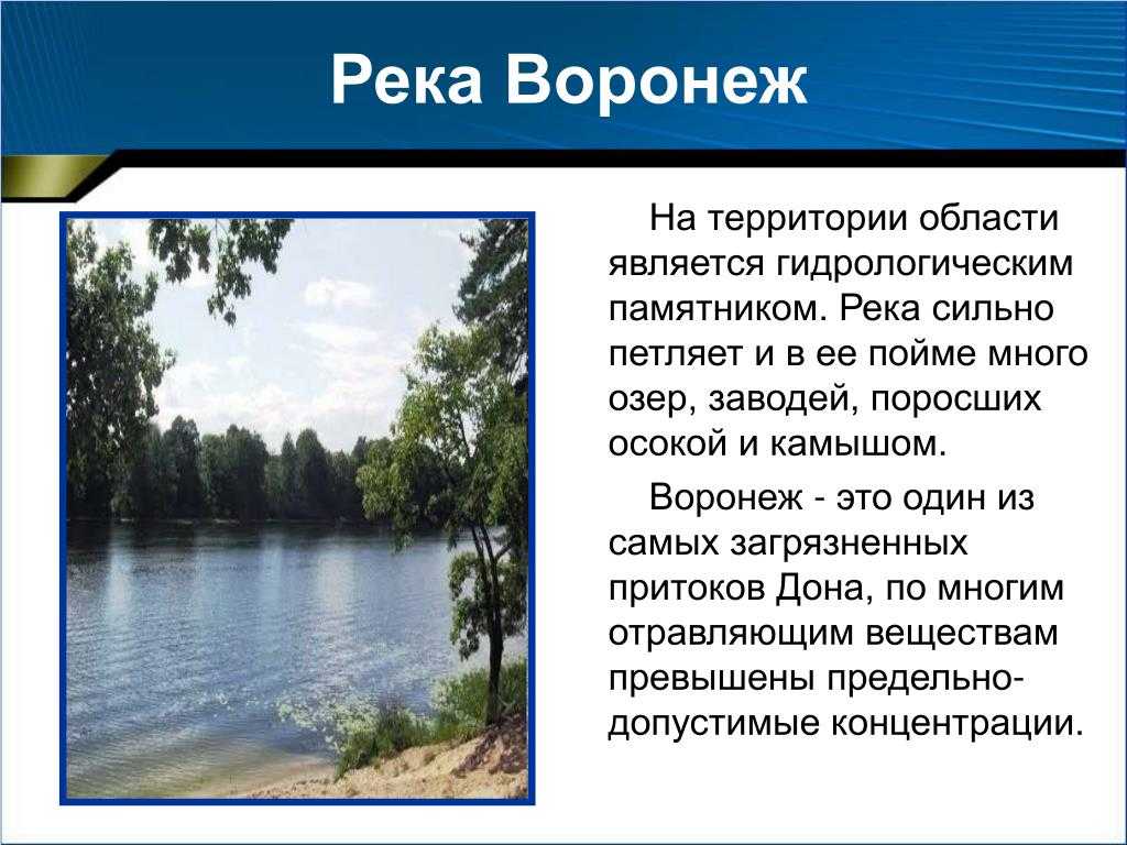 Ручей кривец приток реки воронья на кольском. рыбалка нахлыстом на реке воронья