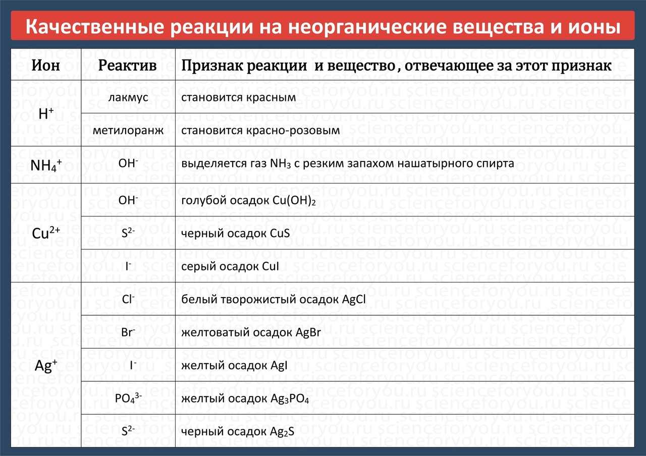 Реагент и реактив: что они означают и чем они отличаются?