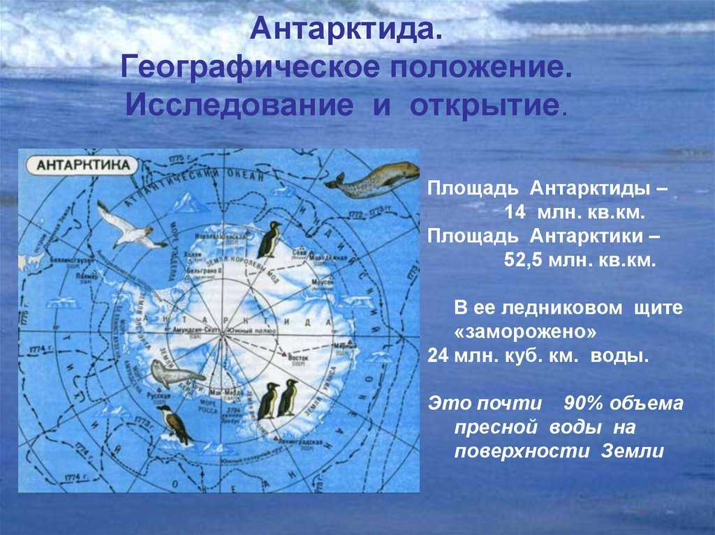 Проверочная работа по географии 7 класс антарктида