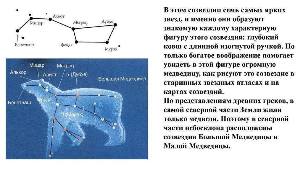 Созвездие заяц | сайт про космос и вселенную