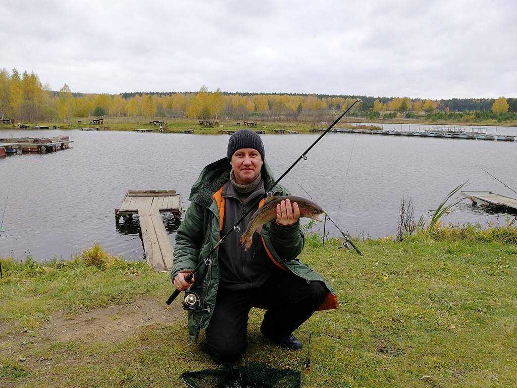 Плюсса (река)