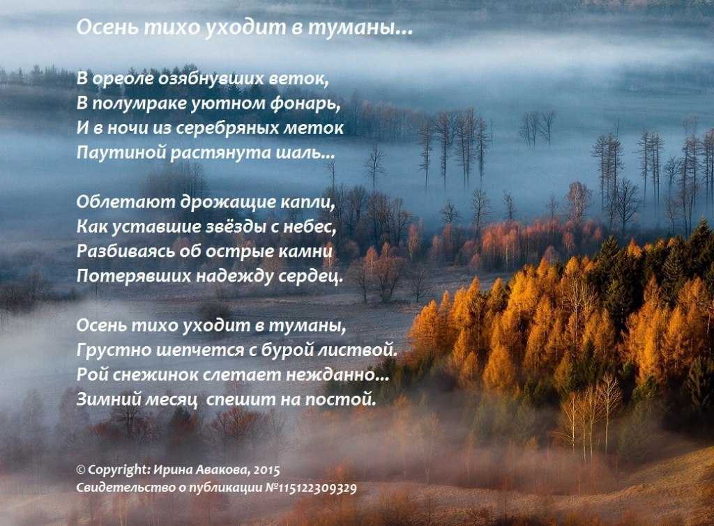 Береговой георгий тимофеевич