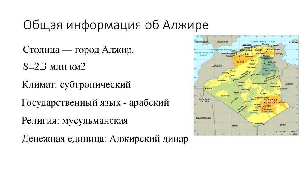 Где находится алжир? интересные факты о стране - gkd.ru