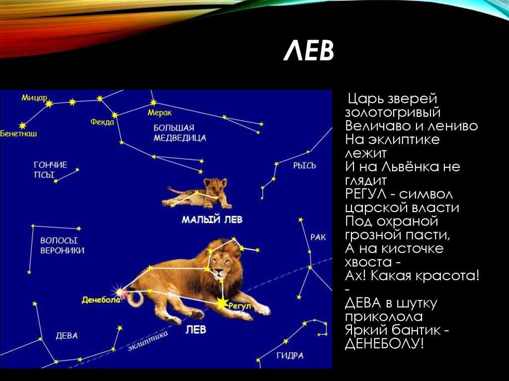 Созвездие лев (leo)