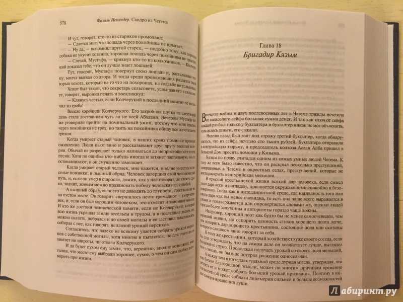Онлайн чтение книги созвездие козлотура фазиль великолепный