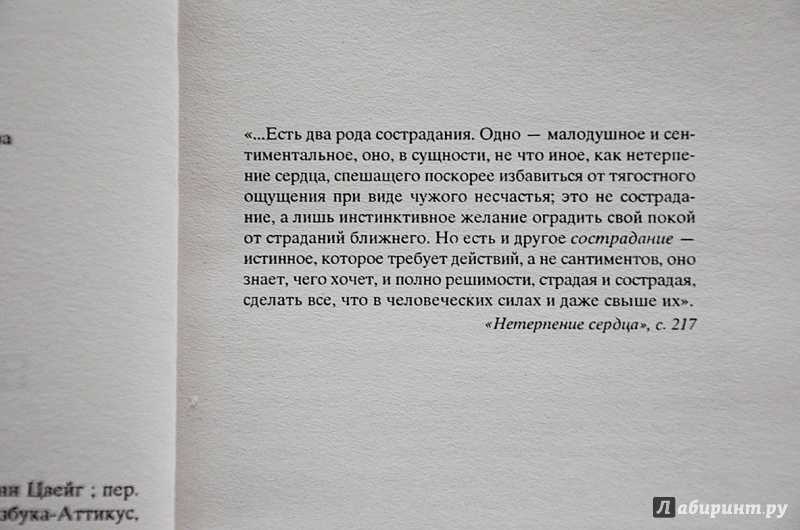 Краткое содержание романа нетерпение сердца цвейга (сюжет произведения)