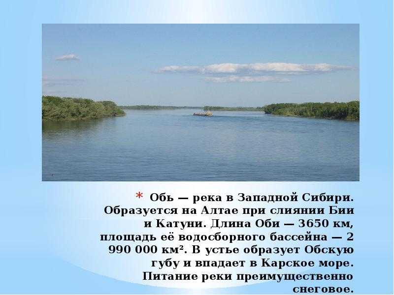 Река обь – главная водная артерия сибири.