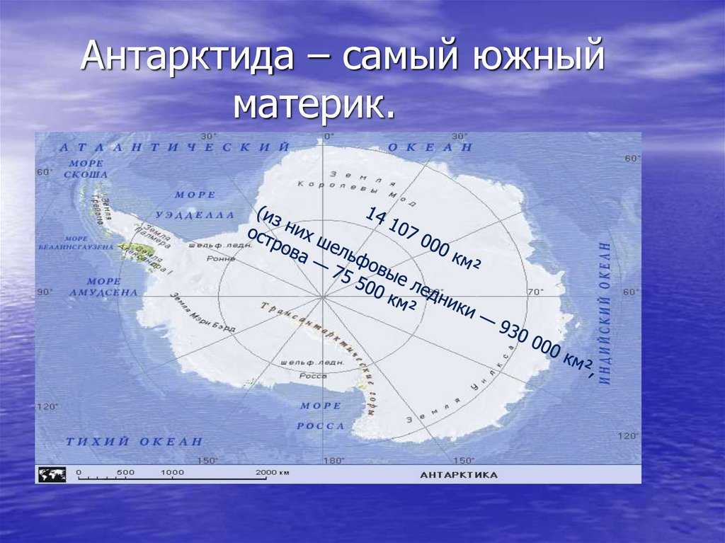 Антарктика - расположение на карте мира, климат, факты