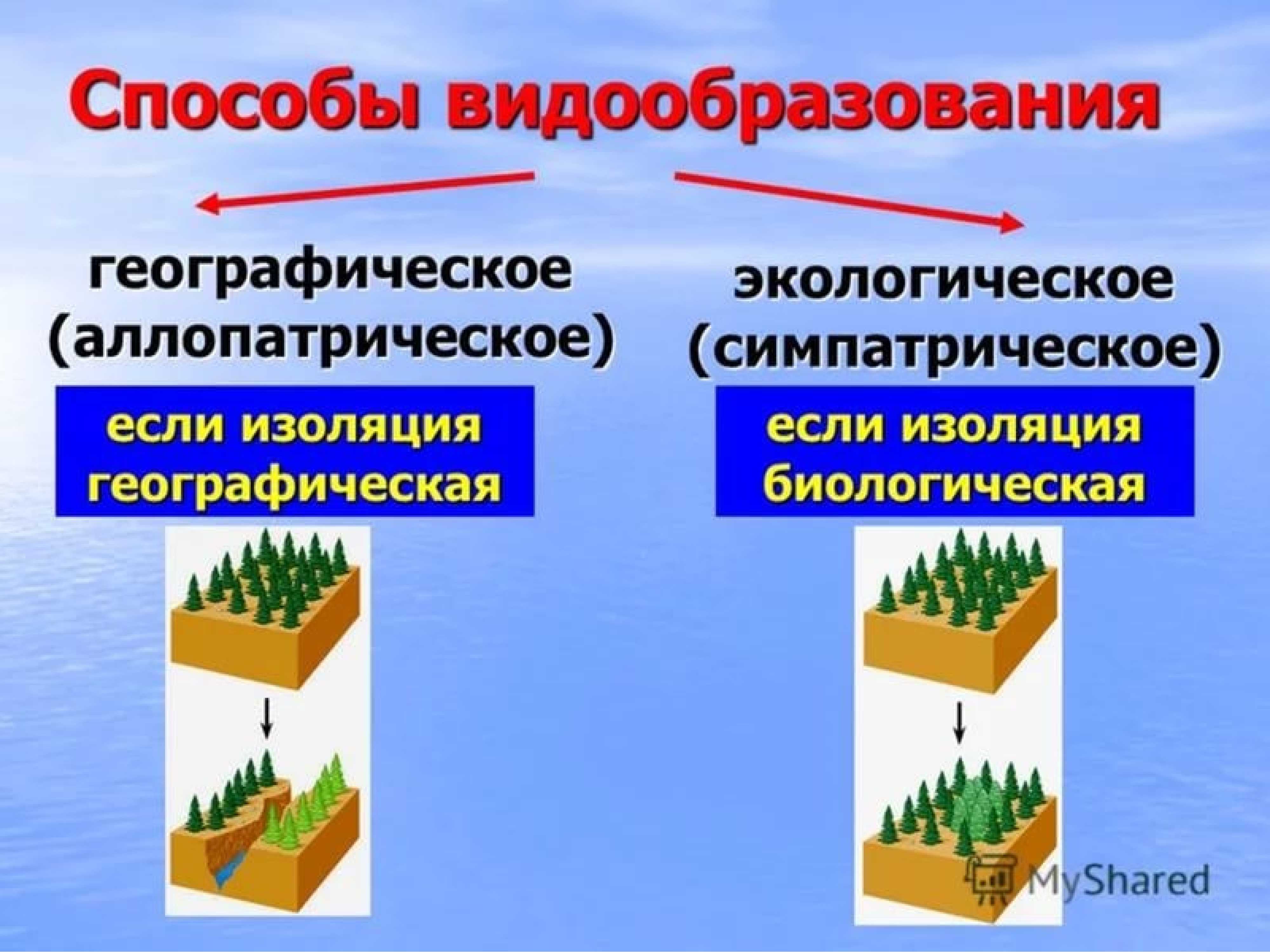Современные представления об эволюции #57