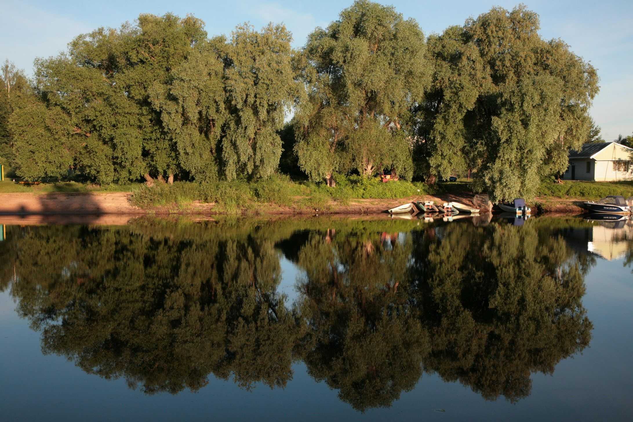 Полисть (приток ловати) прямо сейчас — ближайшие трансляции