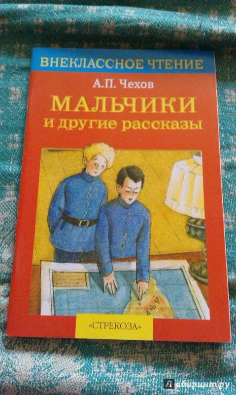 «мальчики» — краткое содержание рассказа а.п. чехова для читательского дневника