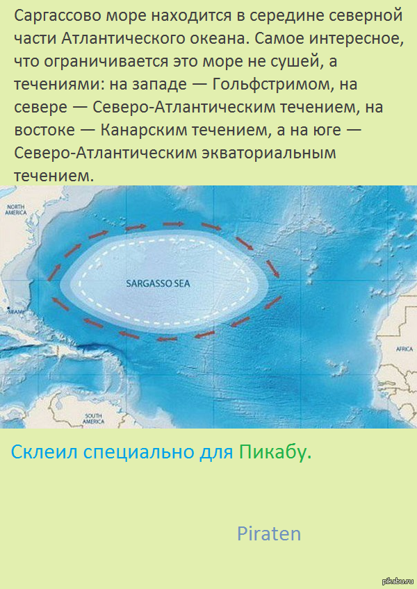 Саргассово море - где находится и какие страны омывает?