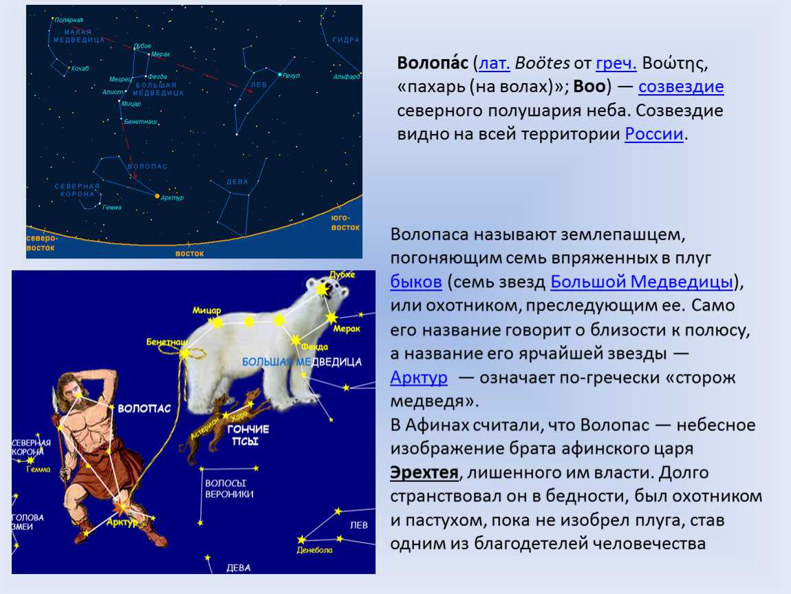 Созвездие волопас