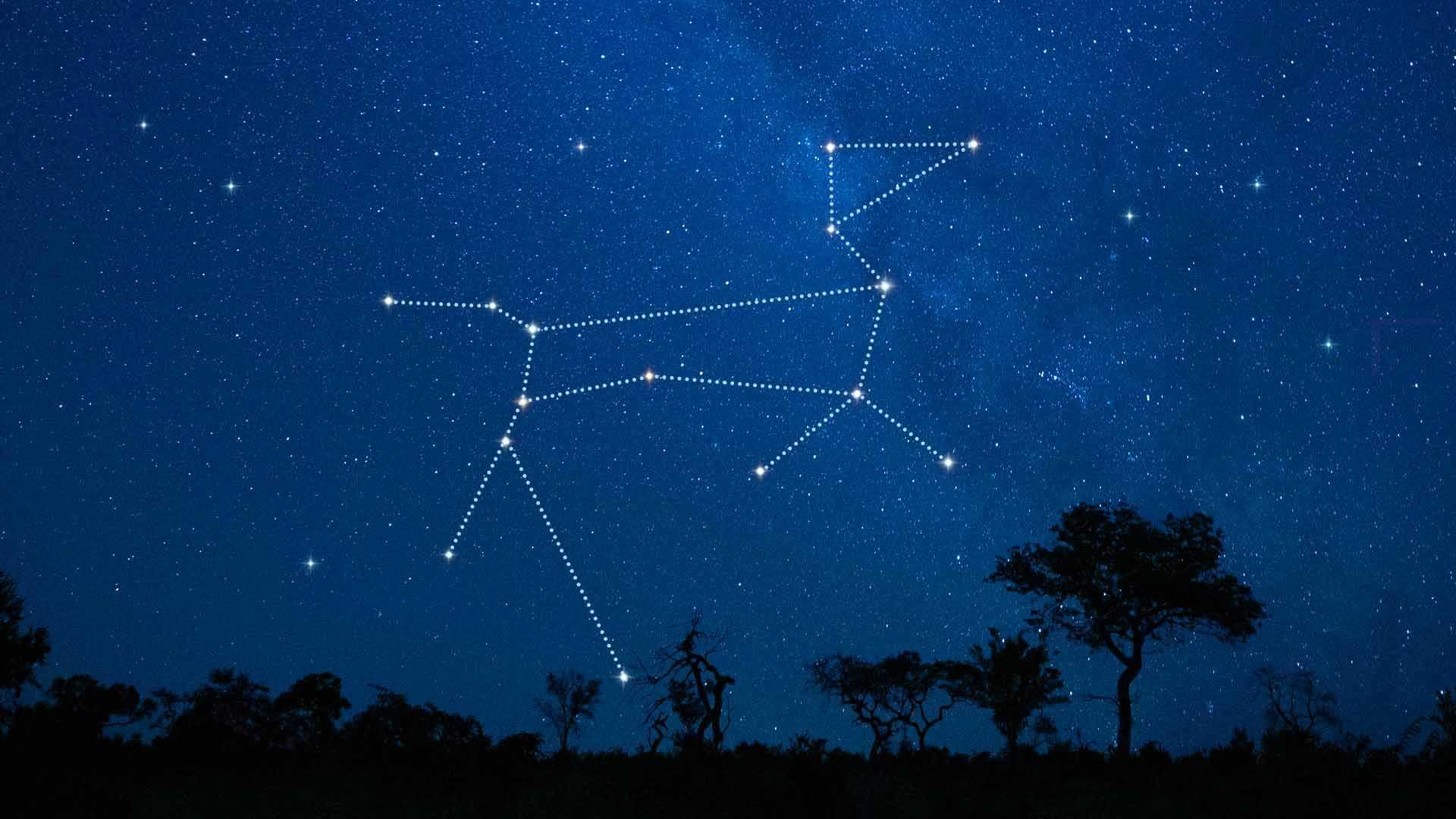 Canis Major Созвездие