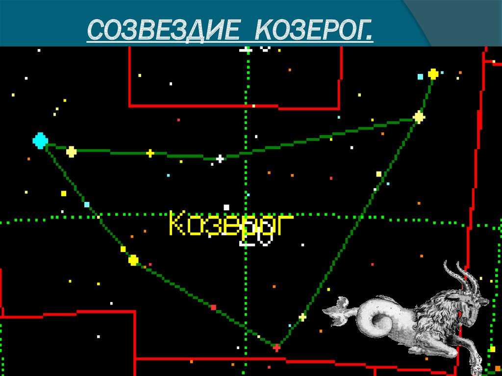 Созвездие козерог название. Созвездие козерога.