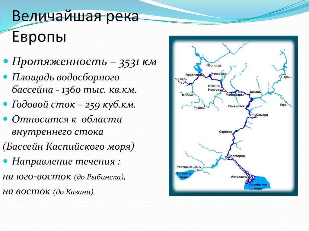 Карта псковской области 2023 крупно с городами и поселками