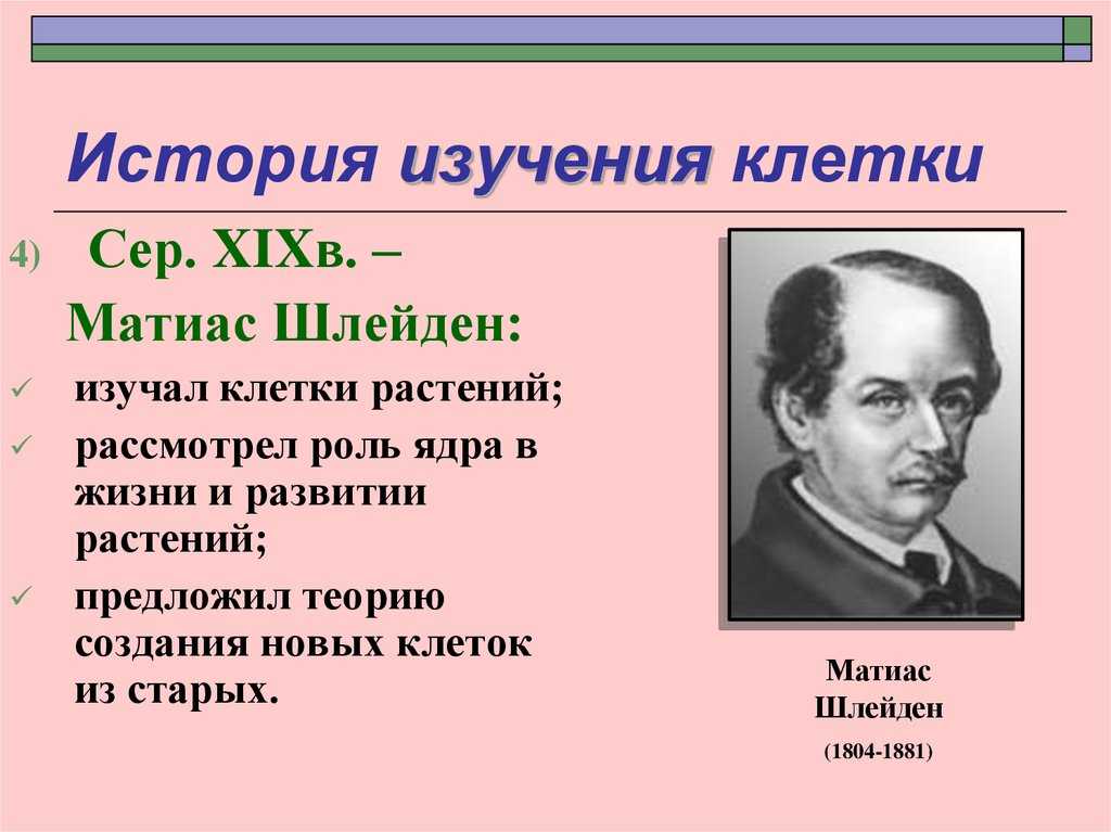 Урок 4: цитология - 100urokov.ru