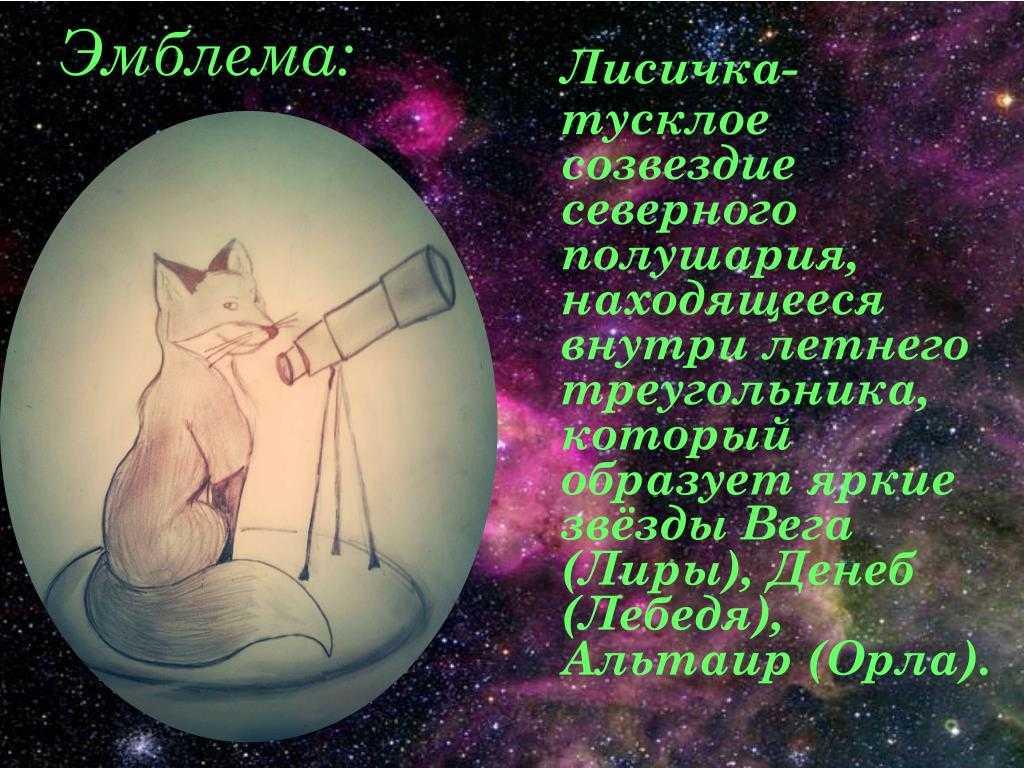 Зимние созвездия: что можно наблюдать на небе в период с декабря до марта