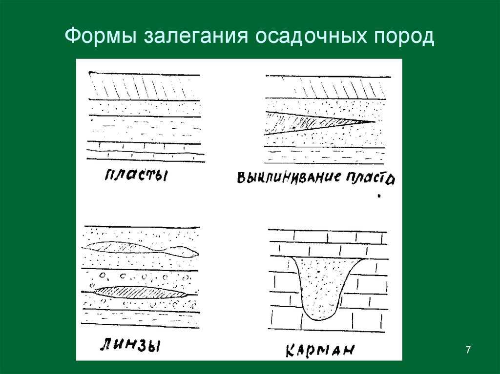 Какие бывают горные породы и как они образуются?