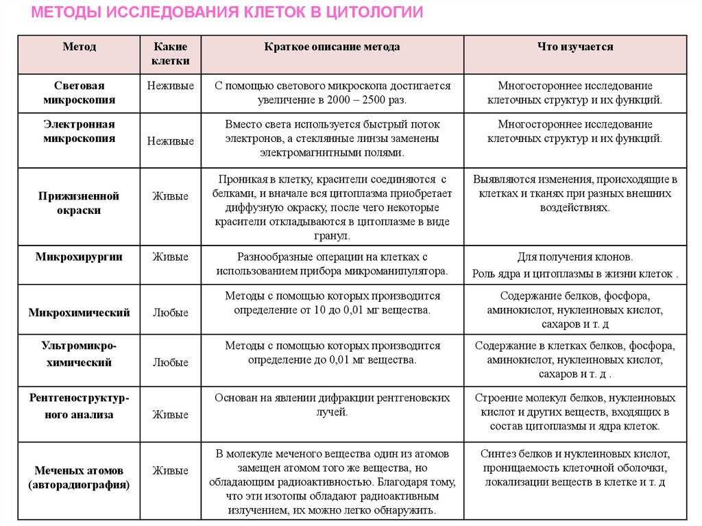 § 10. клеточная теория. общий план строения клетки: клеточная теория