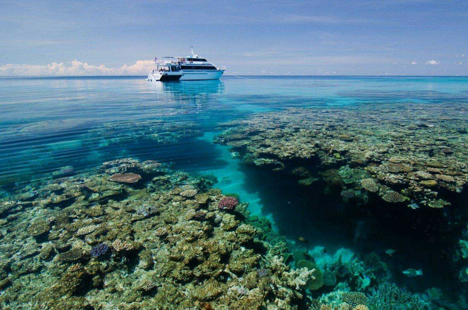 Коралловое море: где оно находится, рельеф и геологическое строение дна, климат, хозяйственное значение водоёма