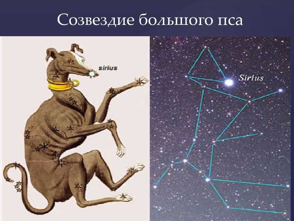 Созвездие большой пес схема по точкам