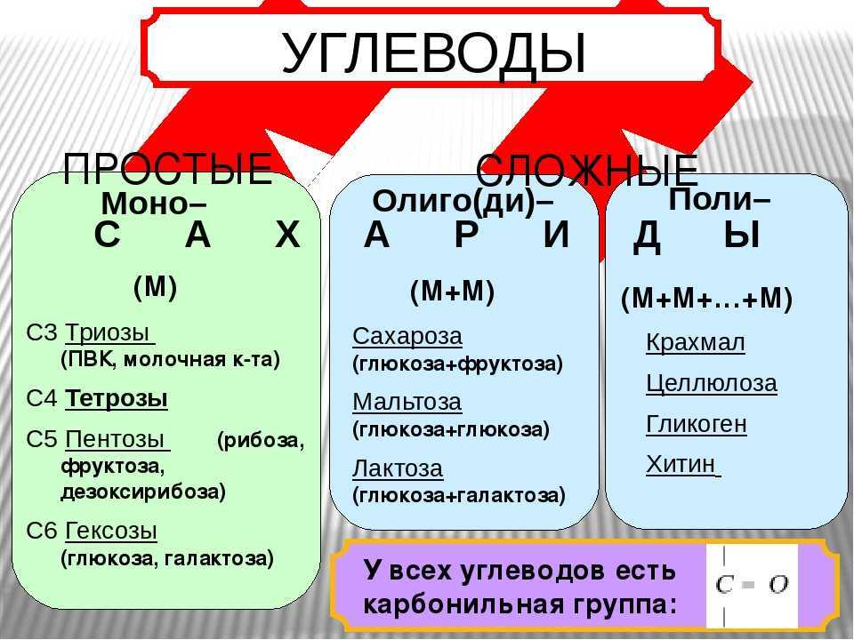 Углеводороды