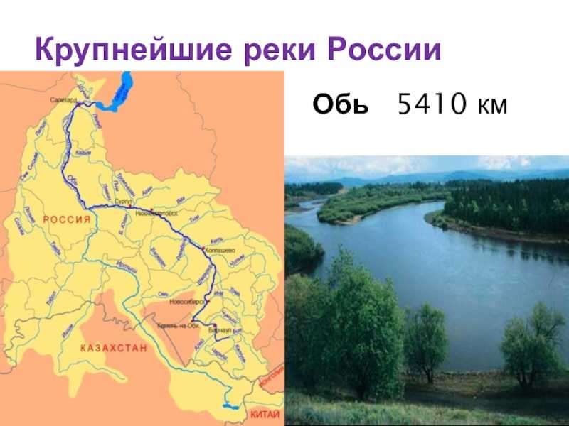 Река обь: исток, течение, бассейн и устье