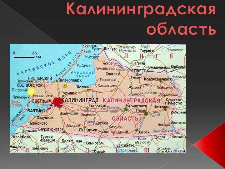 Калининградская область на карте: соседи и границы