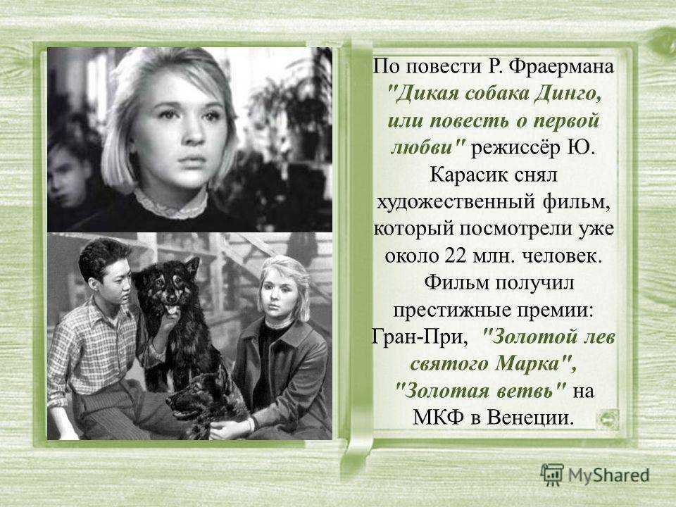 Р. и. фраерман, "дикая собака динго": краткое содержание, главные герои, отзывы